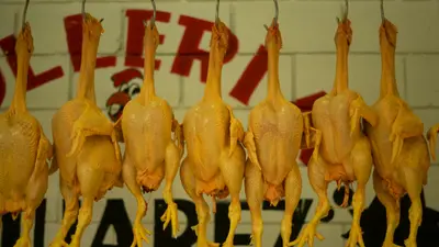 Chicken Feet
