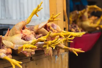 Chicken Feet
